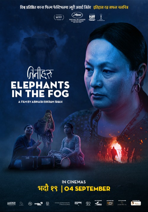 Elephants in the Fog poster